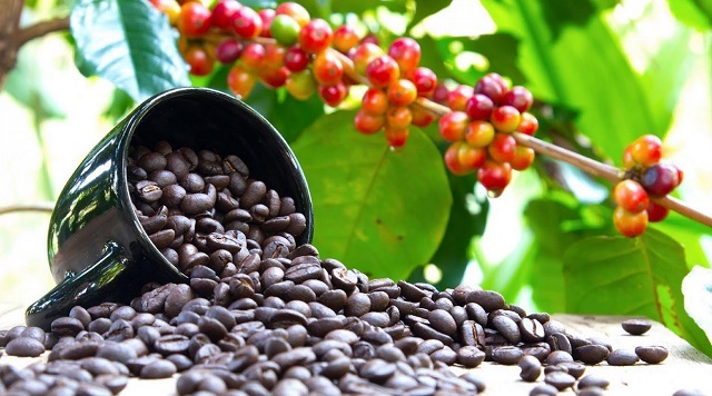 Coffee product
