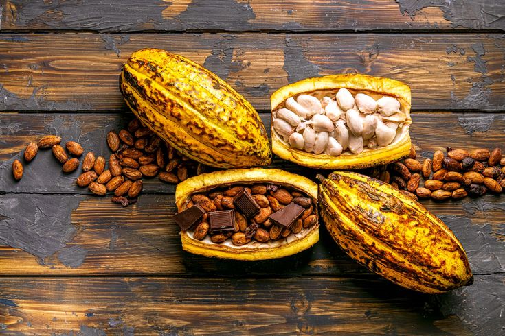 Cocoa Production