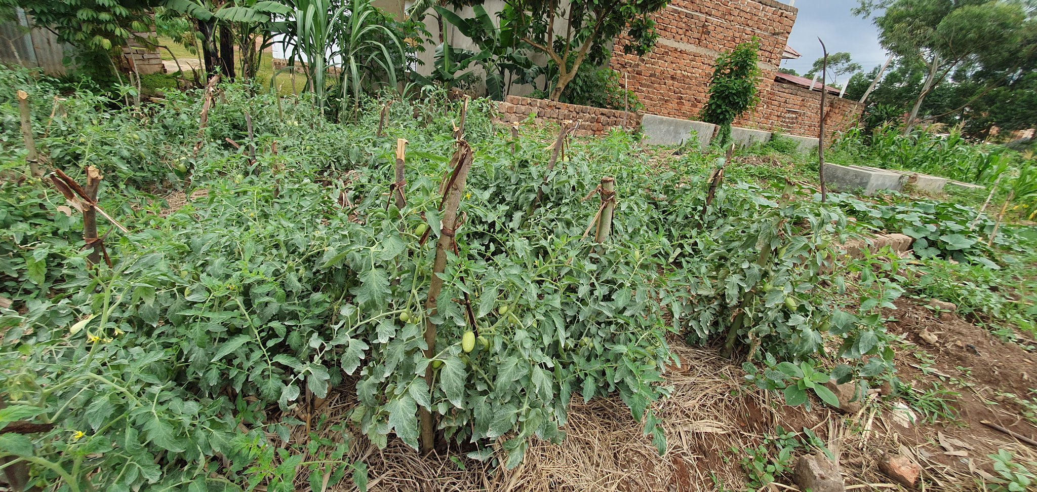 Sustainability initiatives